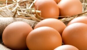 eggs-online-2