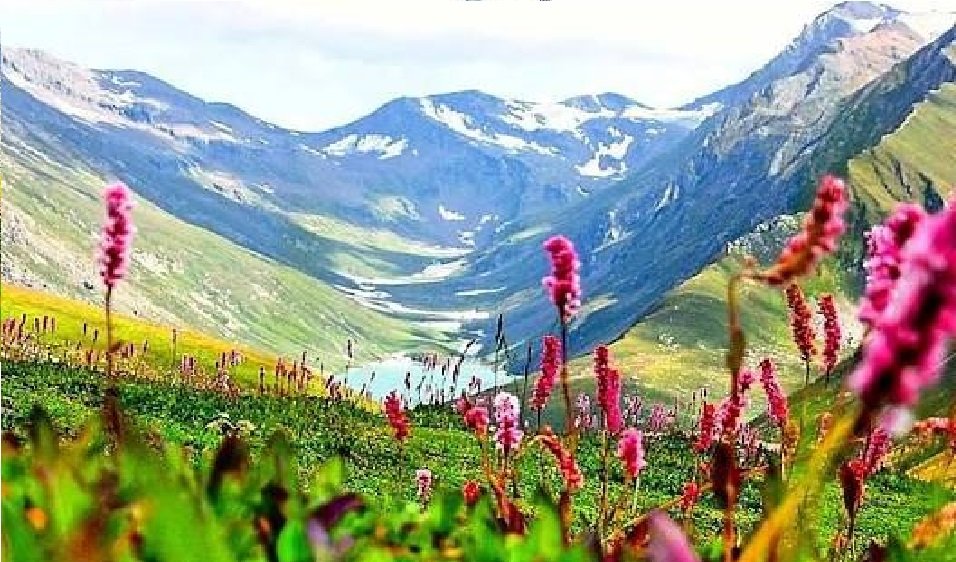 kashmir