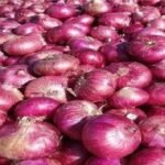 onions