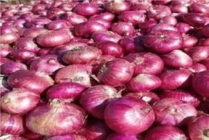 onions