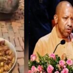 yogi