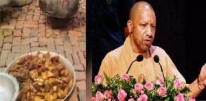 yogi