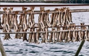 Stockfish