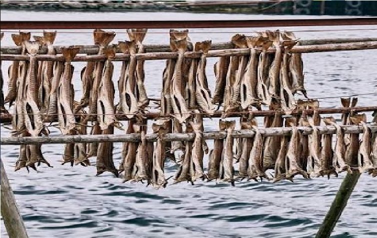 Stockfish