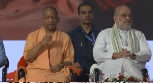 yogi