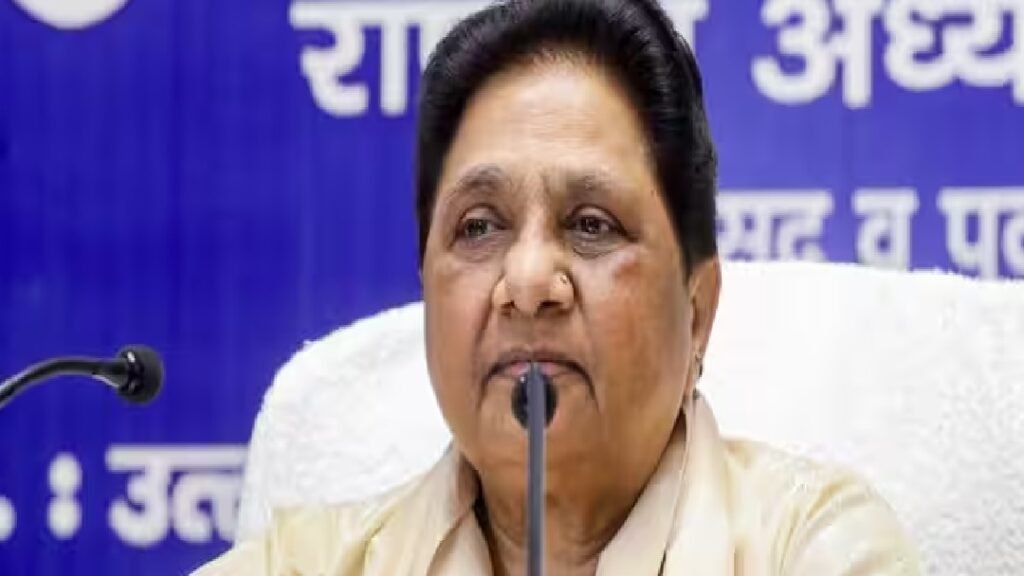 maya