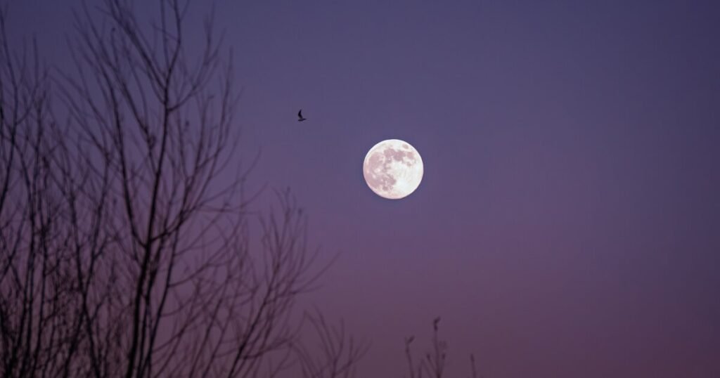 moon