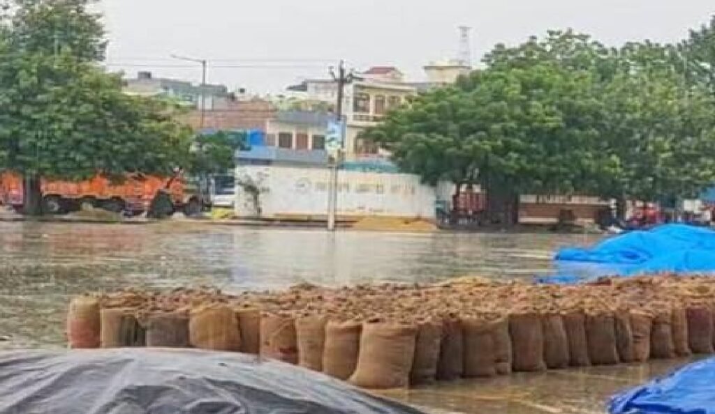 rohtak
