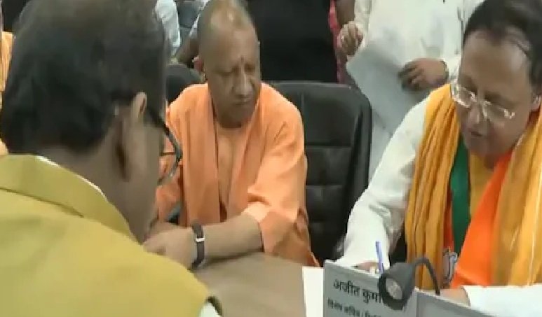 yogi